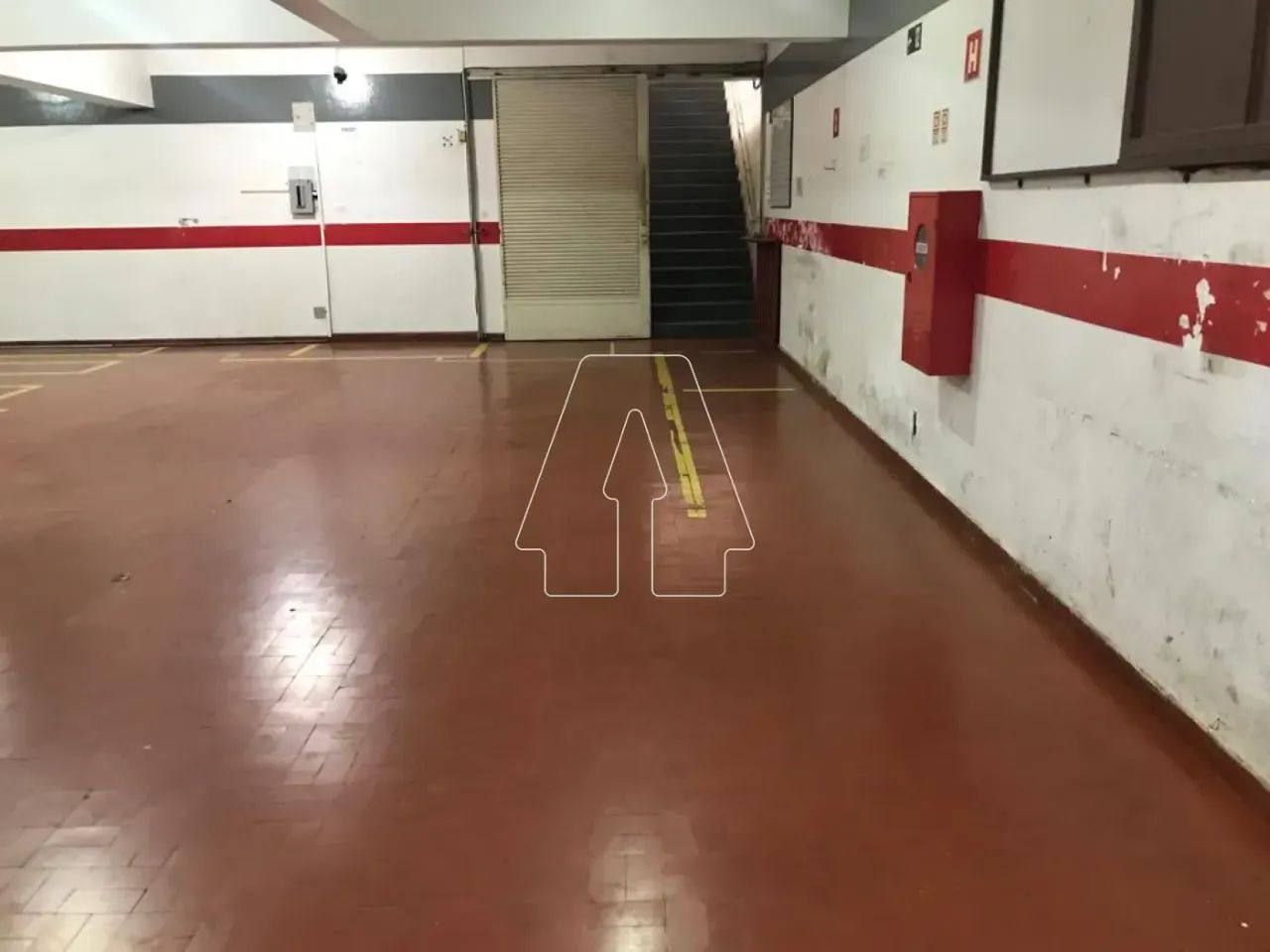 Araçatuba - Galpão/Depósito/Armazém - Vila Bandeirantes - Foto 4