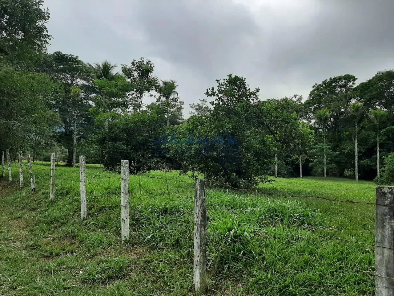 Guaratiba | Terreno - Foto 2