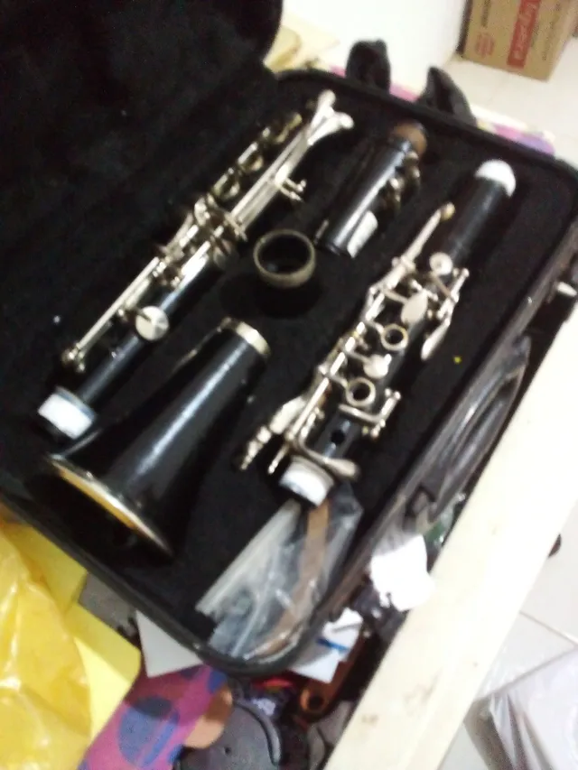 weril +20 anúncios na OLX Brasil