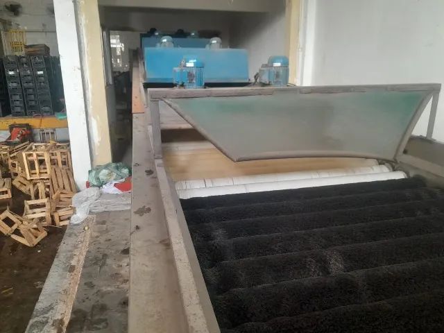 Máquina de lavar laranja  - Foto 5