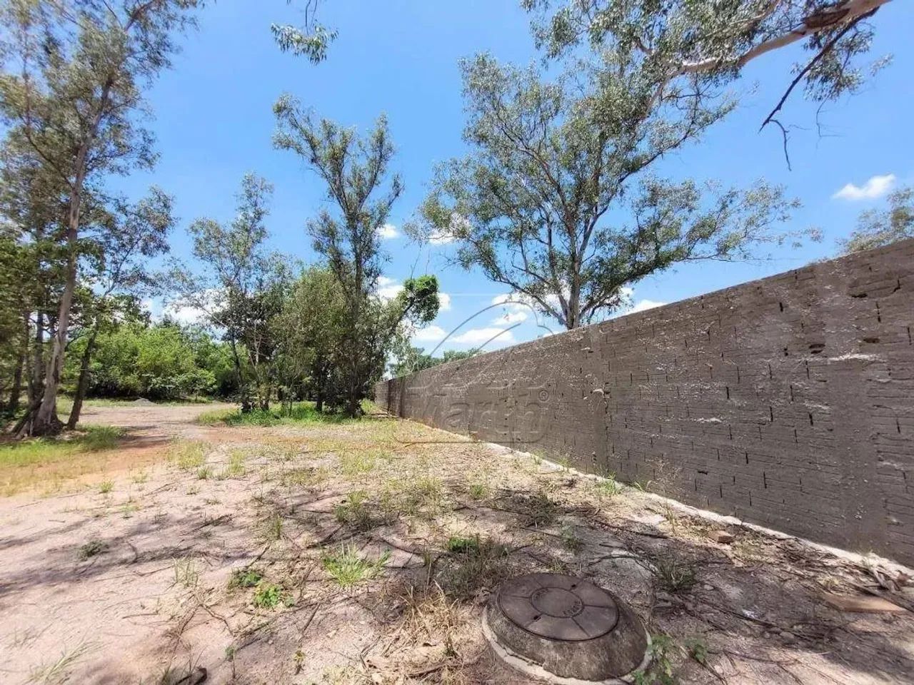 Área para alugar, 4535 m² por R$ 5.000 - Campestre - Piracicaba/SP - Foto 4