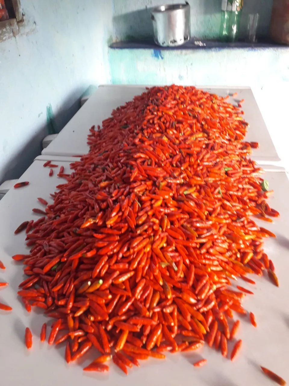 Vende se  produção  rural