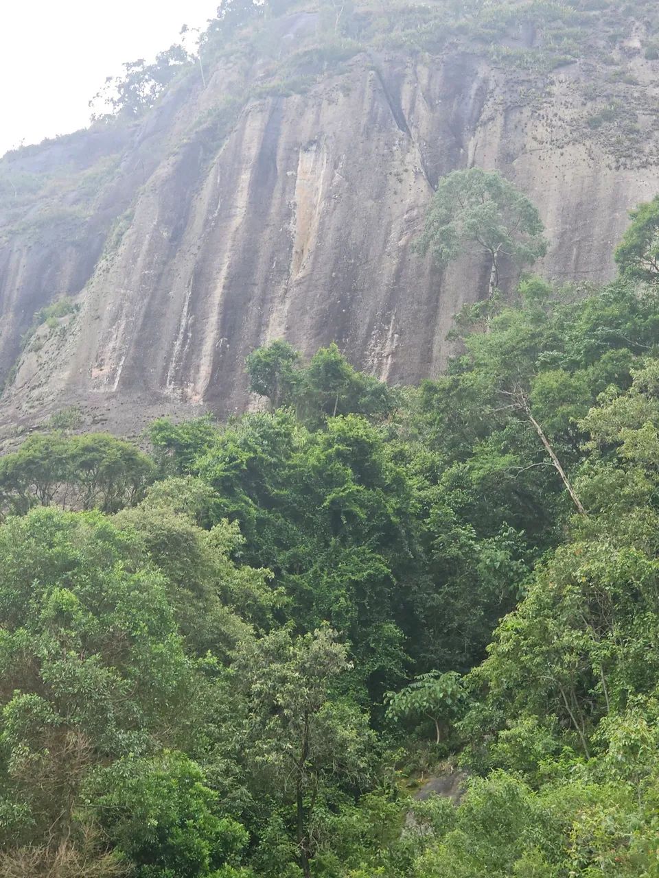 Terreno pedra vermelha 