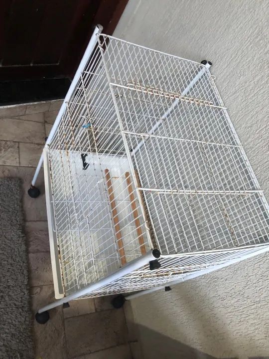 Gaiola para calopsitas  - Foto 2