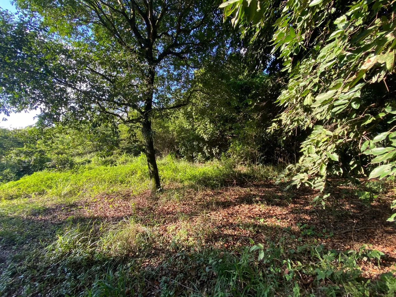 Foto - Belford Roxo - Parque São Lucas