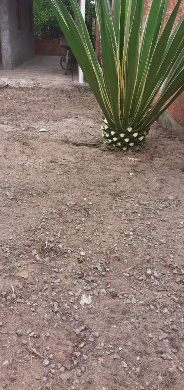 Vendo terreno em Centro Hípico - Unamar - Foto 7