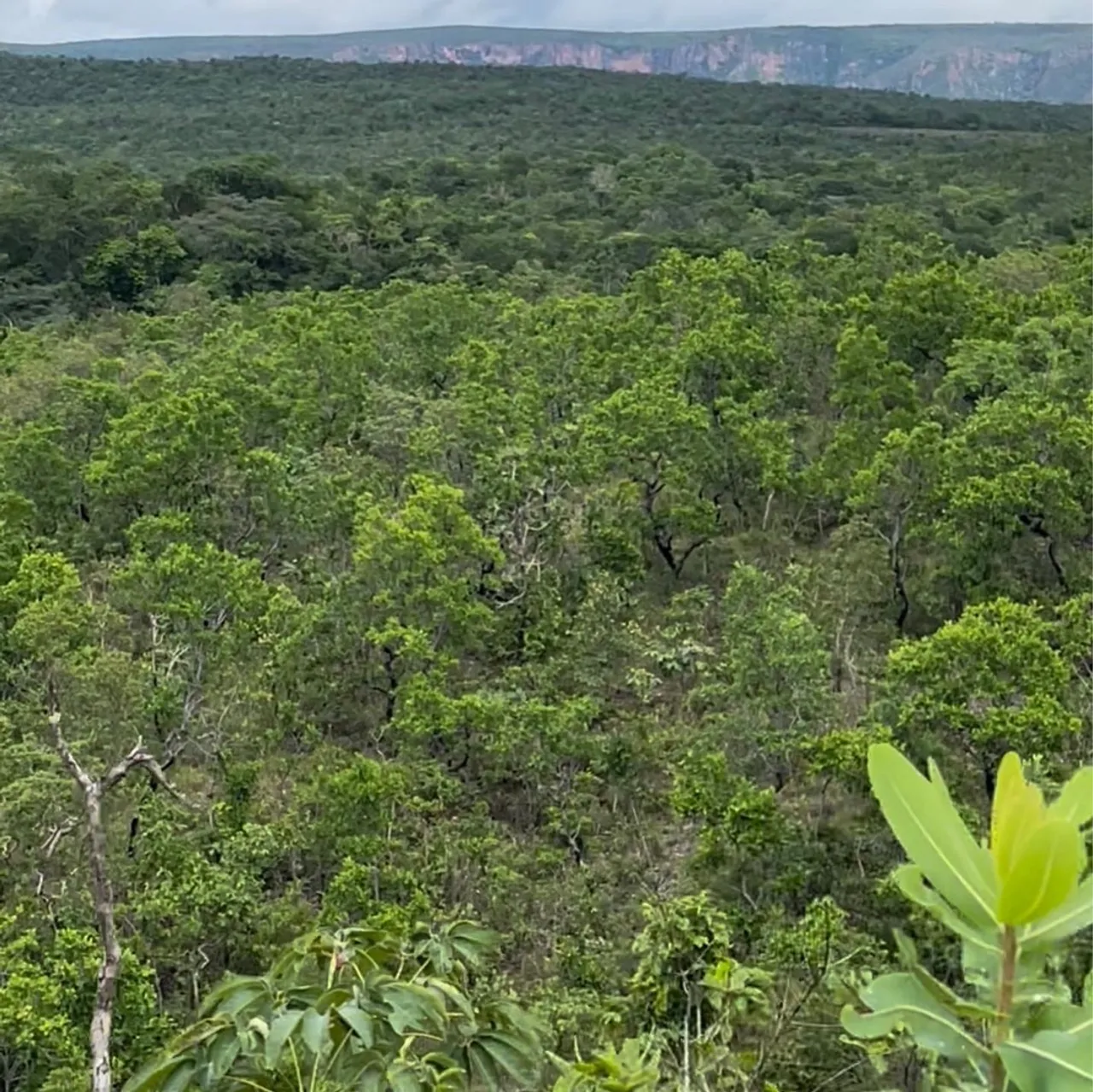 Vendo chácara na rodovia da chapada em Cuiabá