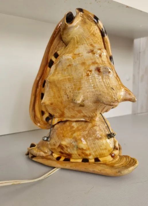 ABAJUR DE CONCHA - Foto 3