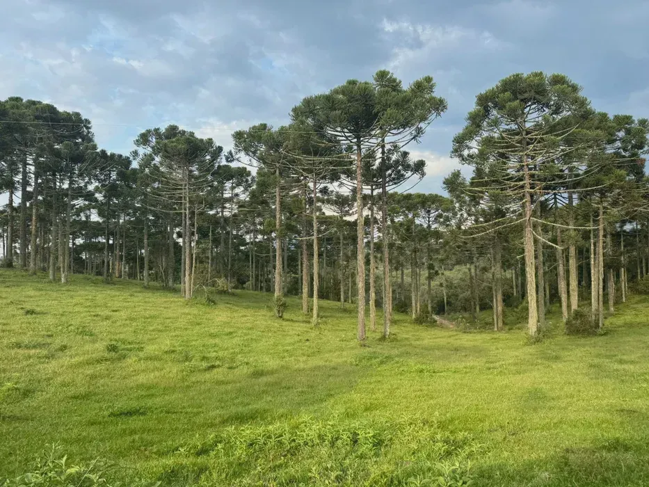 Imóveis Rio Rufino, trazendo a você cliente mais uma excelente opção de moradia ou investi
