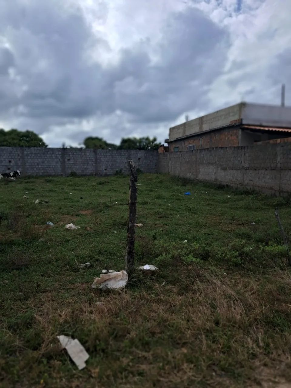 Foto - Aracaju - Areia Branca