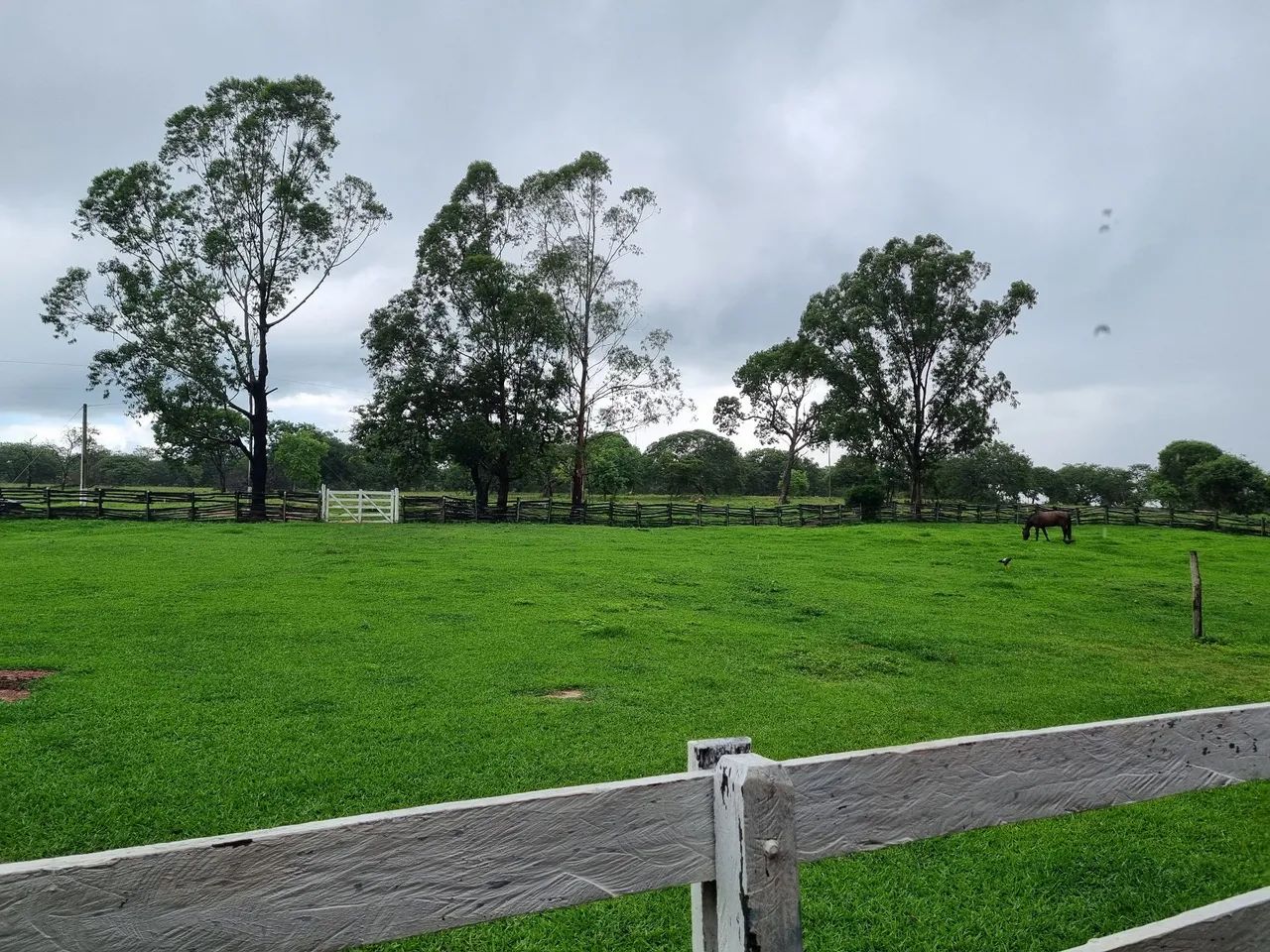 OPOTUNIDADE!! Fazenda 202 Hectares Arinos-MG - Foto 12