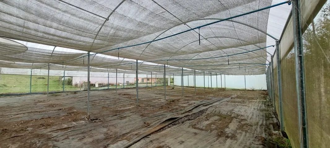 Estufa Agrícola 21x30 (630 m²). Altura livre sob arco 2,70m e vão de 3m. - Foto 4
