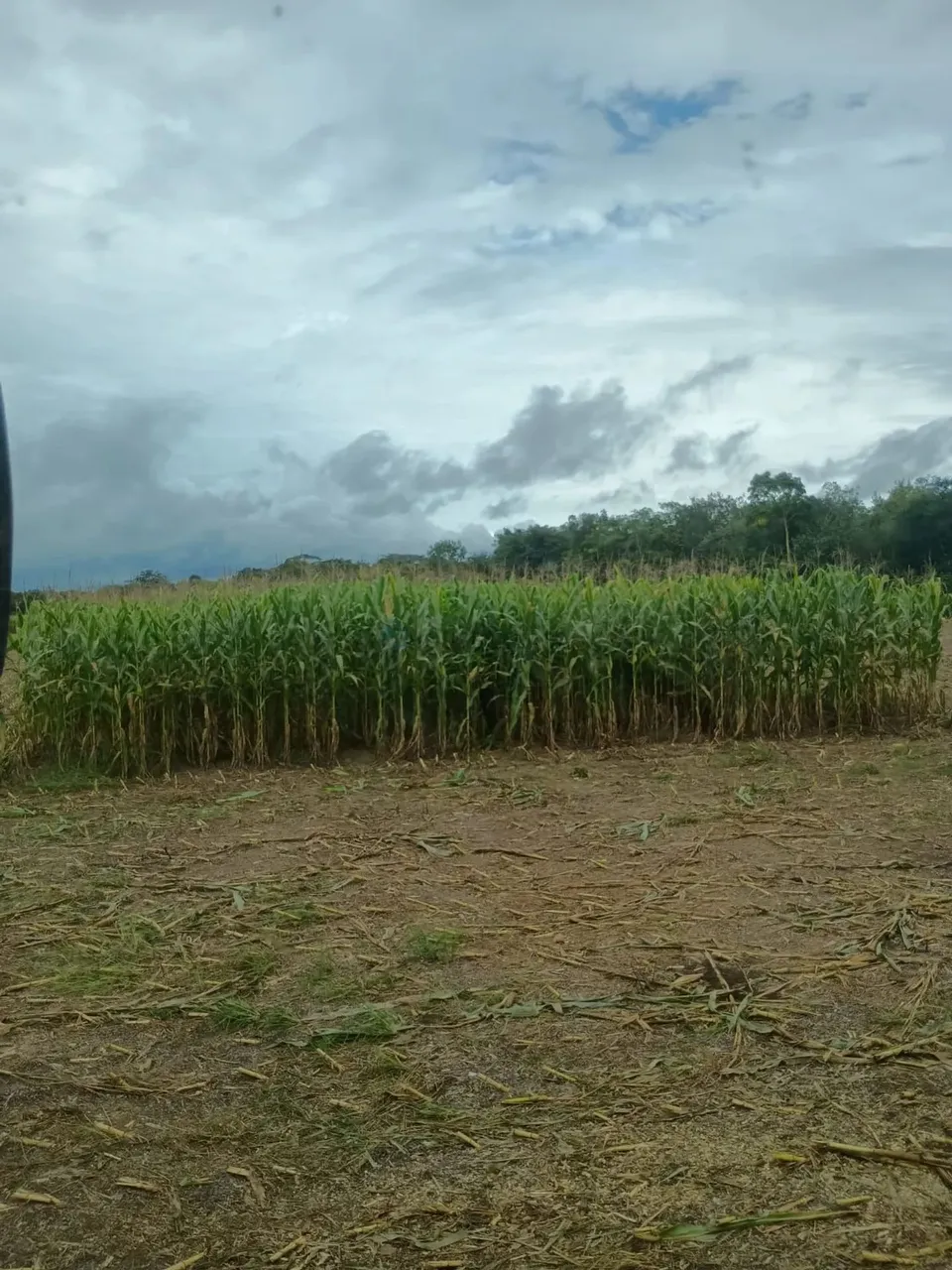 Fazenda à Venda a 12 km de Cuiabá/MT, Oportunidade
