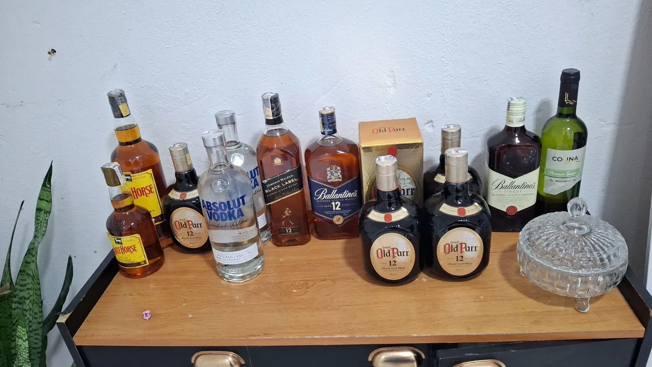Bebidas diversas para seu comércio