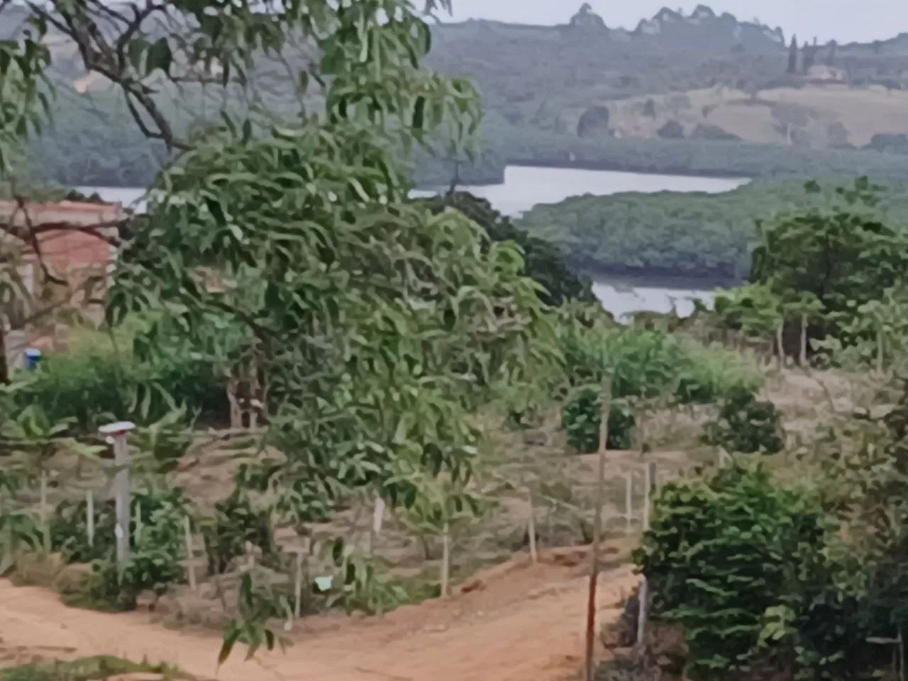 Foto - Guarapari - Santa Margarida