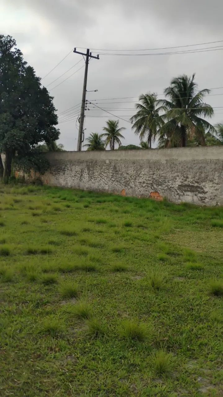 Vendo Mini Sítio em Seropédica - (Campo  Lindo) SOMENTE VENDA - Foto 11