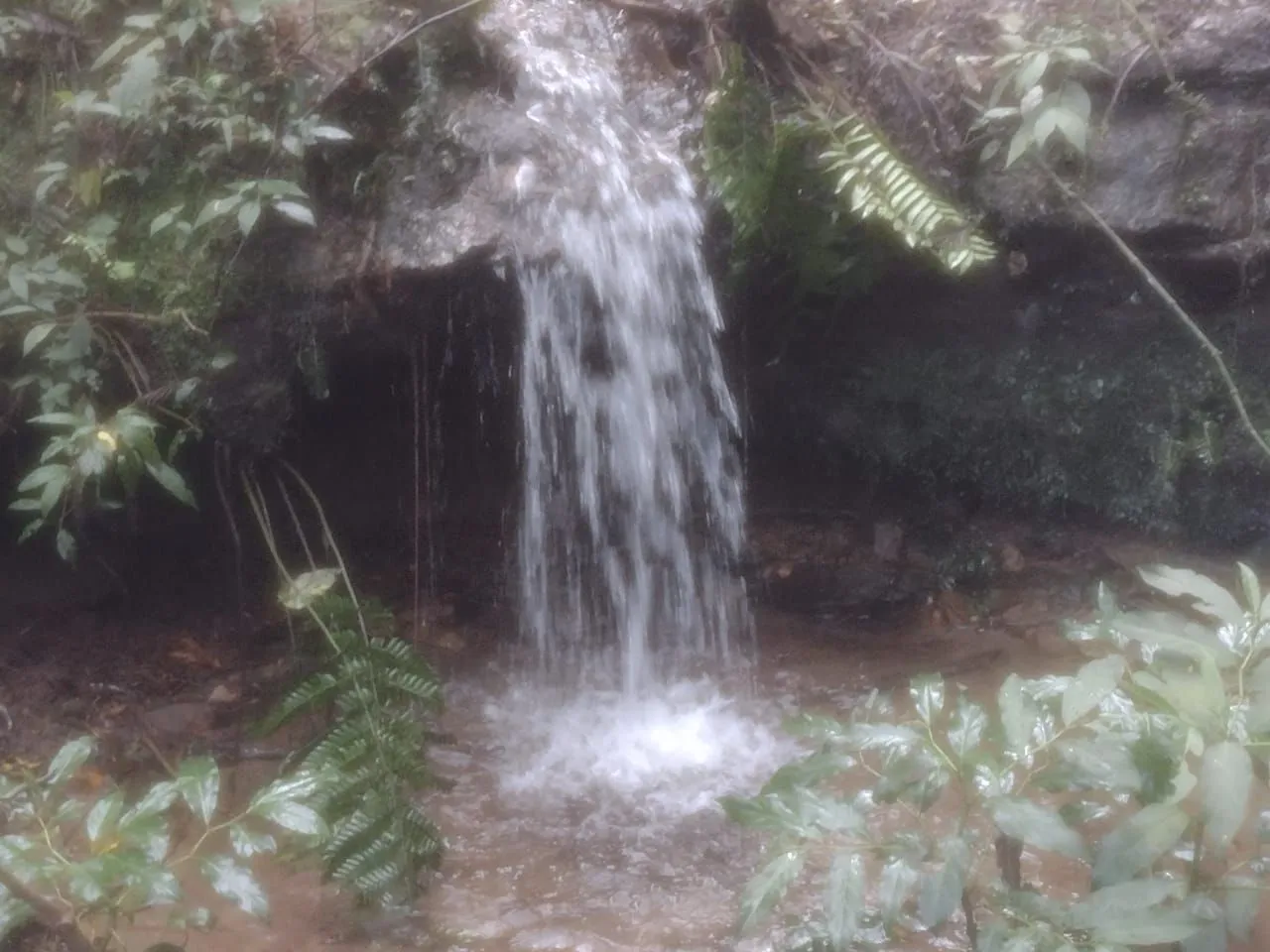 Imóveis sitio