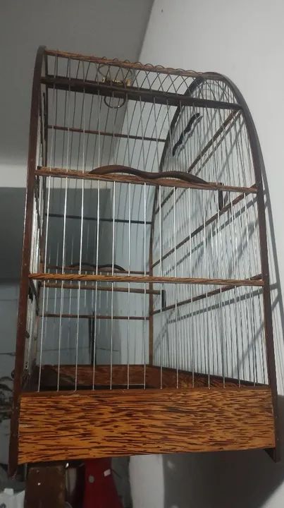 Gaiola luxo . Trocas em gaiola de ring - Foto 2