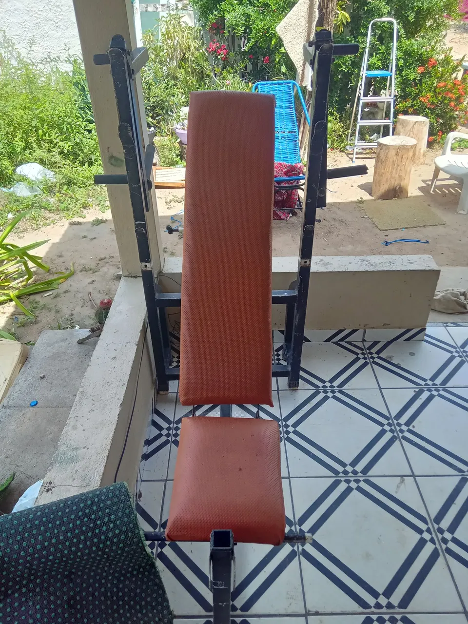 Banco de Musculação para Treino em Casa