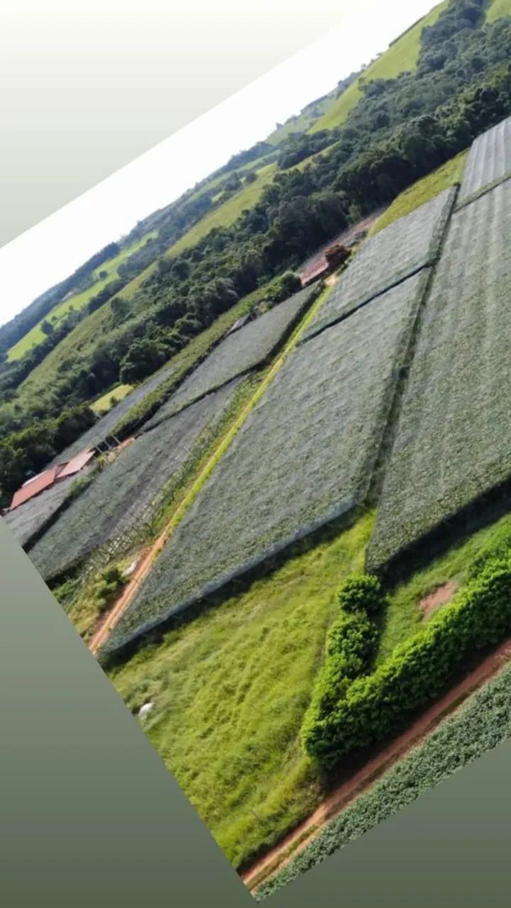 Sítio a venda na colônia Pinhal São Miguel Arcanjo sp 