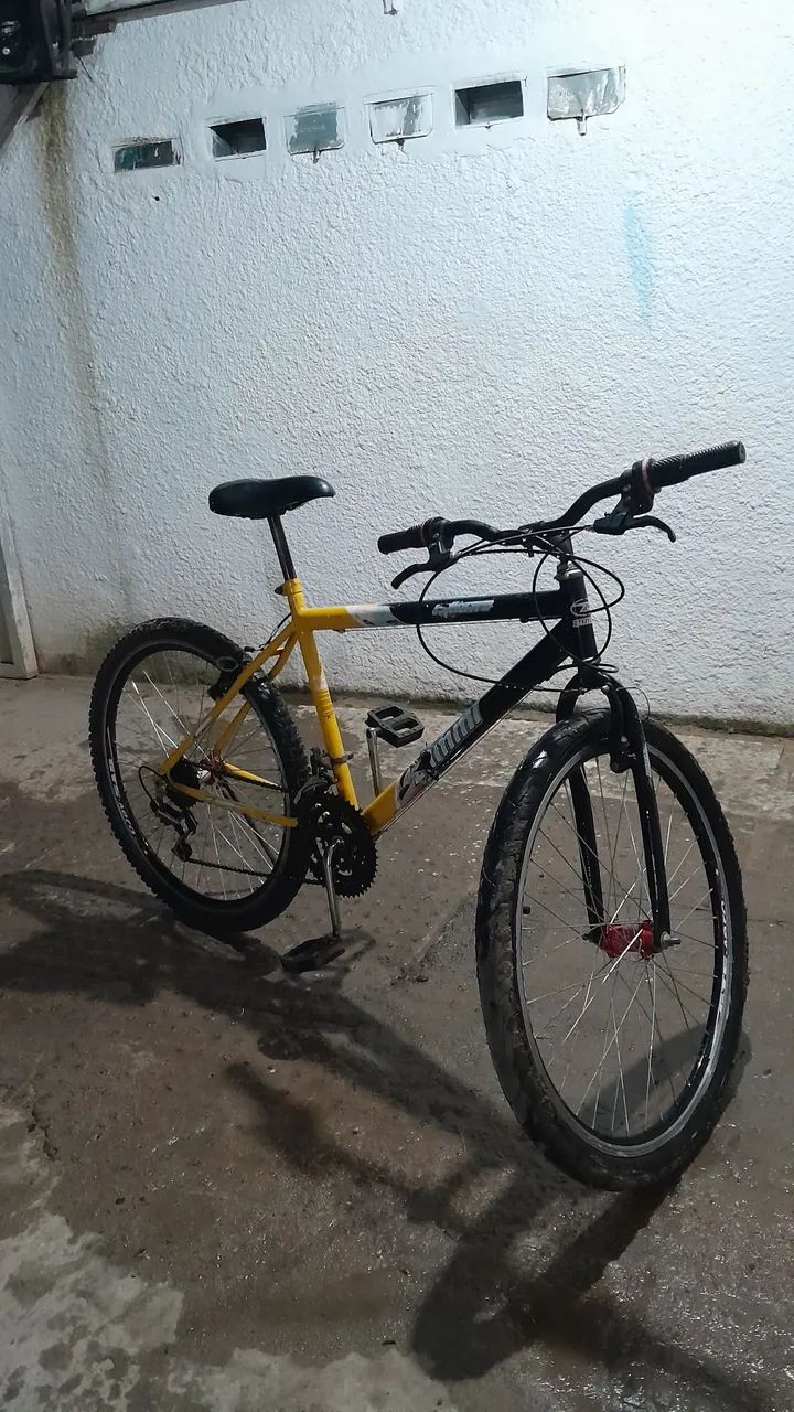 Bicicleta zummi bike