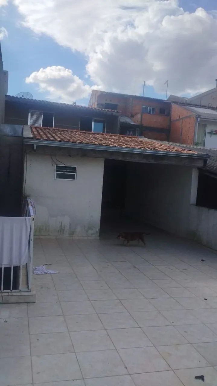 Foto - Curitiba - Xaxim