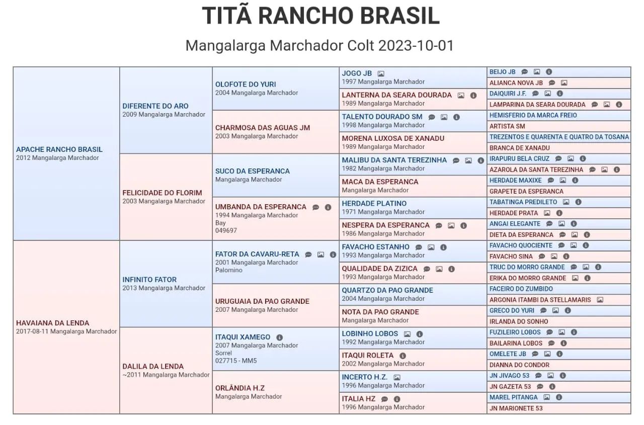 Potro mangalarga machador - Foto 4