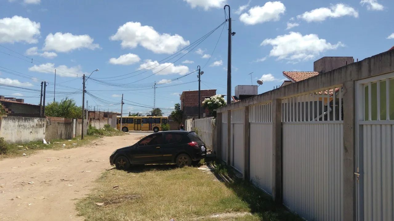 Foto - Paulista - Pau Amarelo