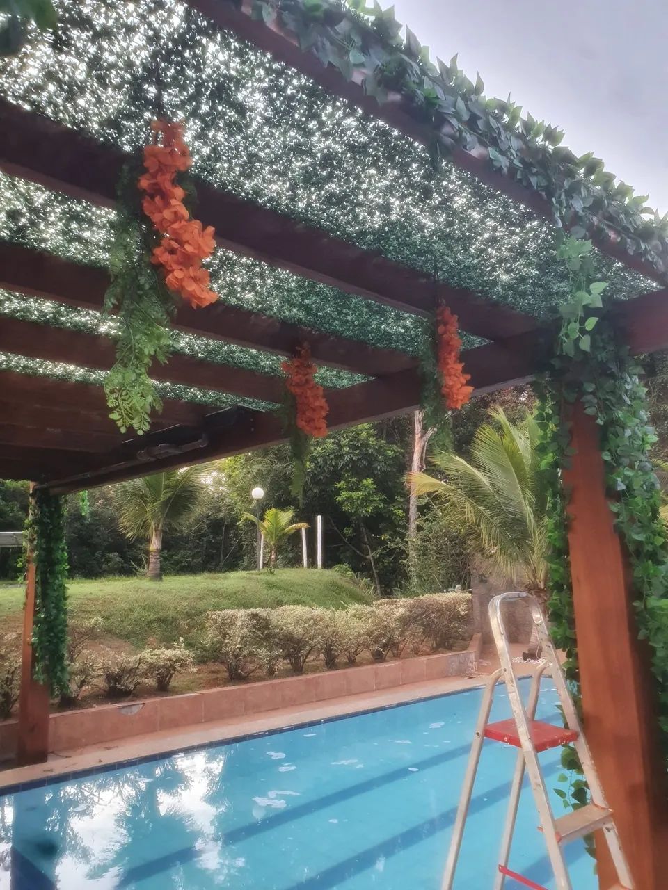 Cobertura verde para pergolados  - Foto 5