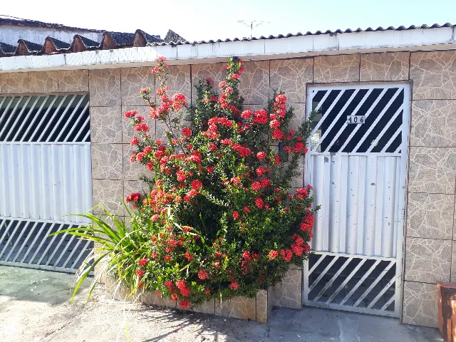 Aluguel de Casa no conjunto Satélite / disponível apartir de agosto.