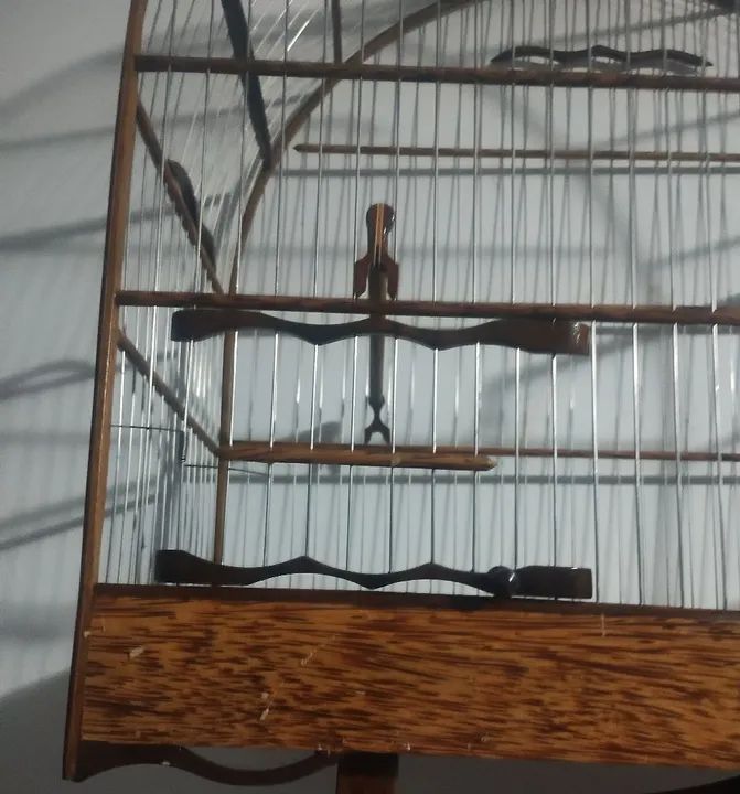 Gaiola luxo . Trocas em gaiola de ring - Foto 5