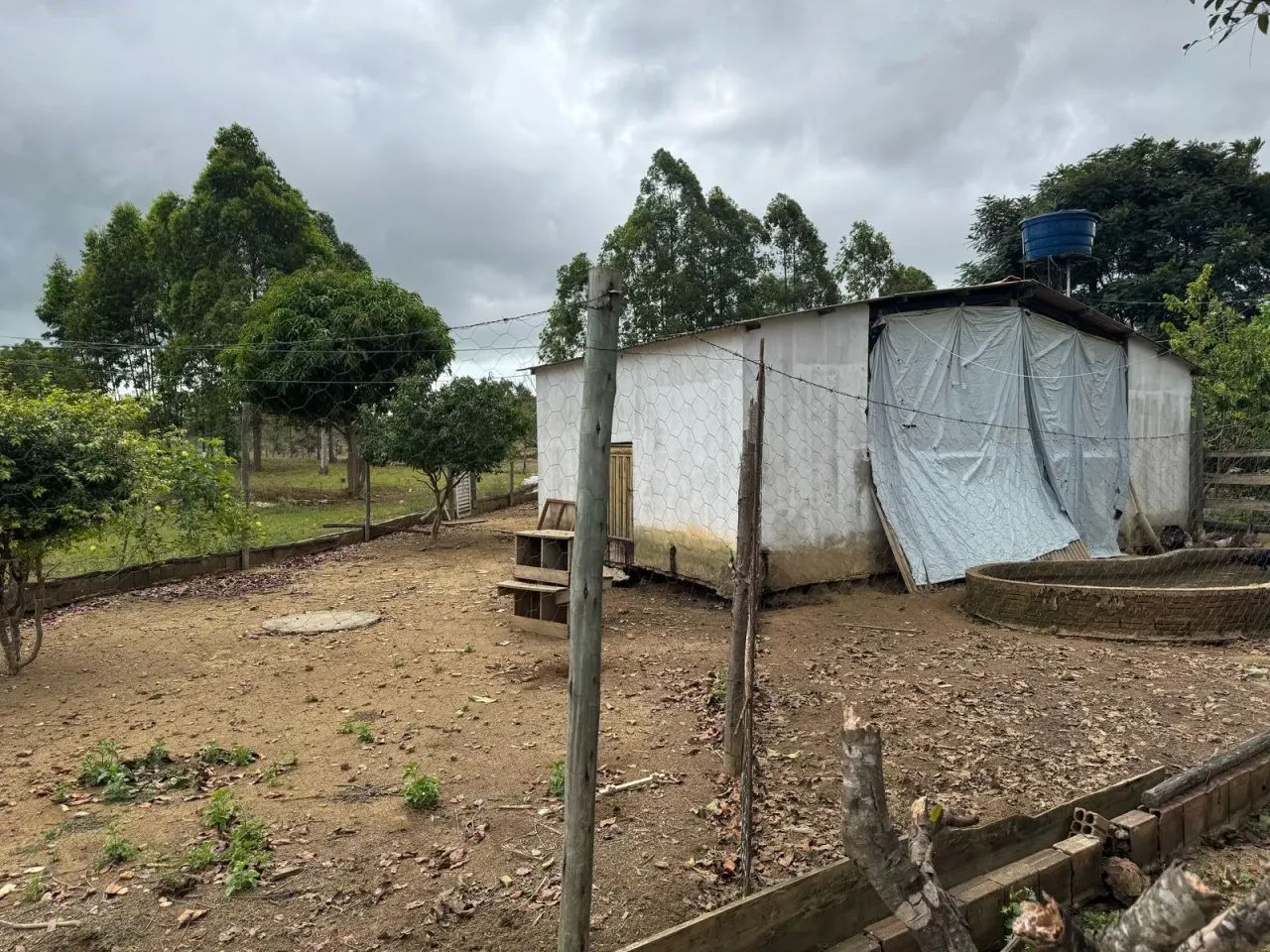 ( Chácara com 7.200m² e Casa de Campo  Pronta para Usar! } - Foto 6