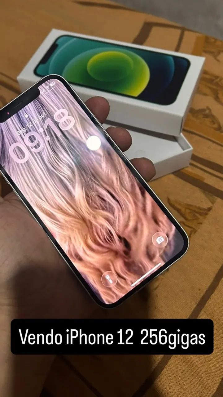 iPhone 12 impecável