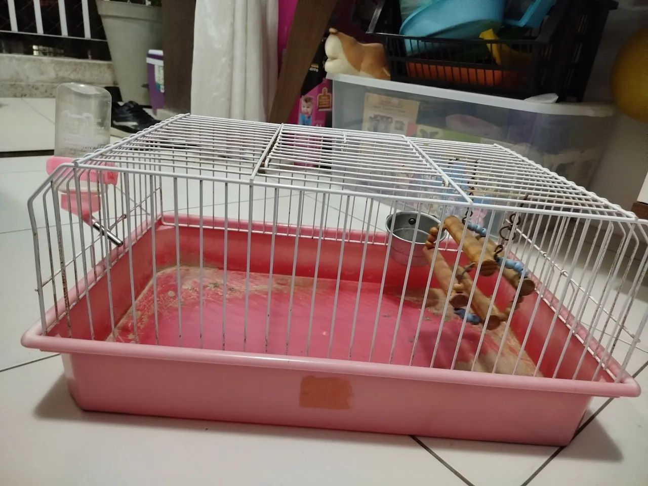 Gaiola roedor65203907187073121