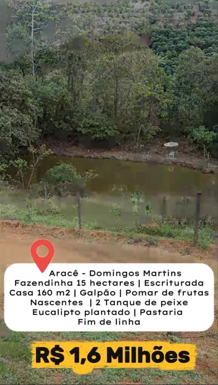 FAZENDINHA 15 HECTARES EM ARACÊ - Foto 3