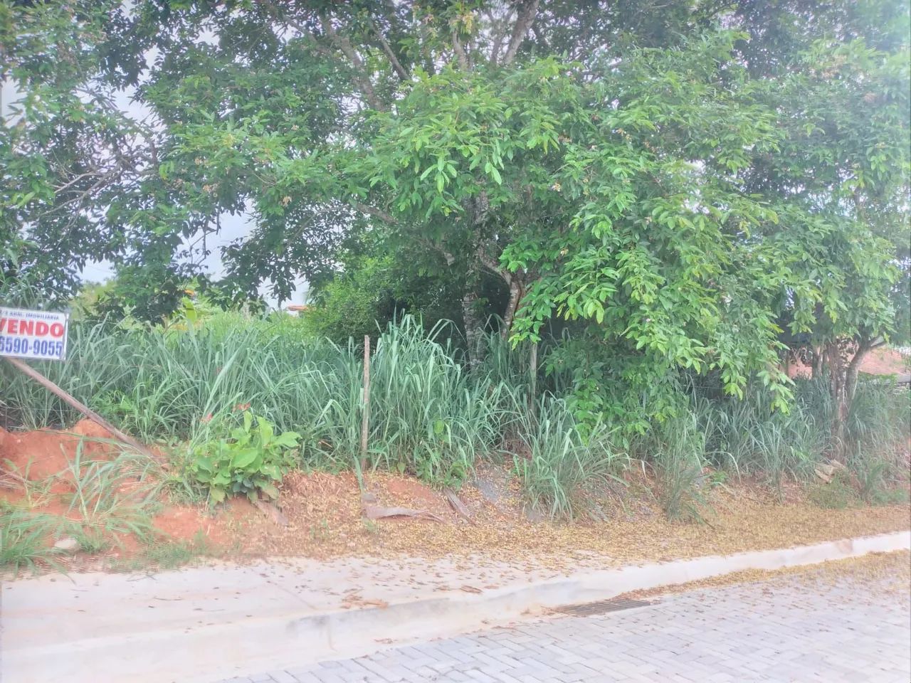 VENDO ÓTIMO TERRENO EM BACAXÁ/SAQUAREMA - Foto 2