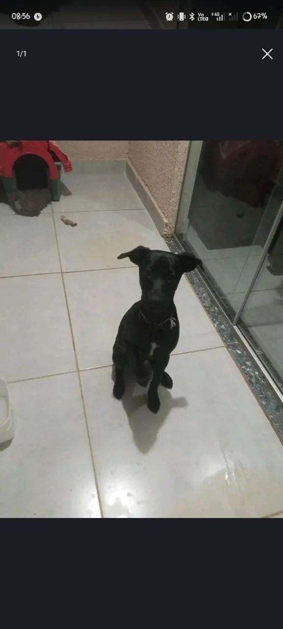 doação  - Foto 2