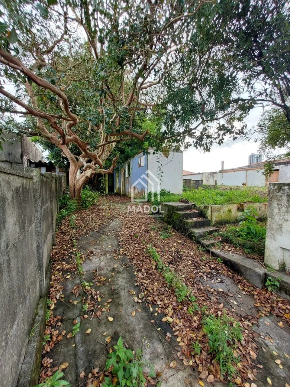 TERRENO NO CENTRO 15x28m - Foto 3