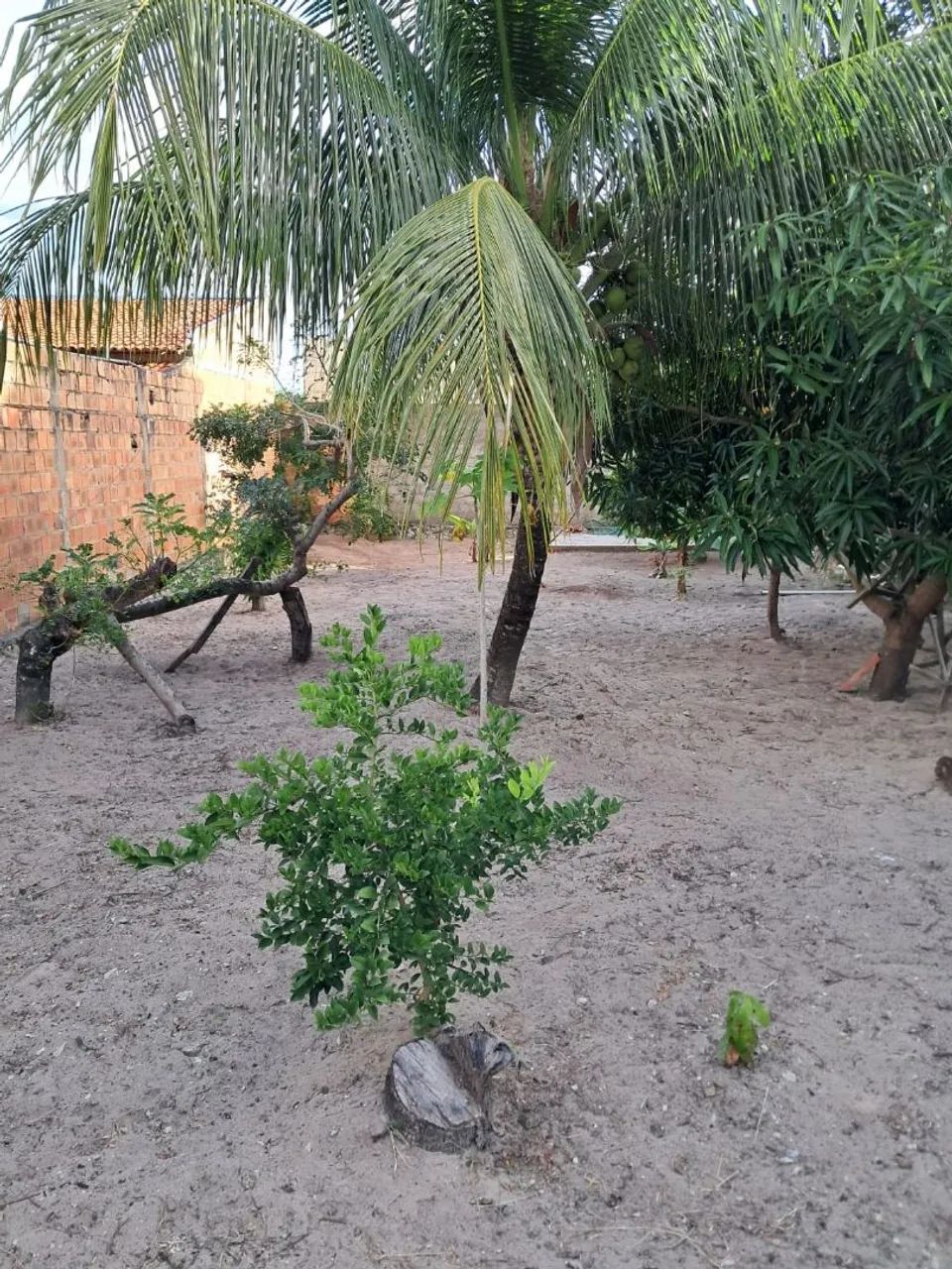 Lote com oportunidade imperdível - Foto 3