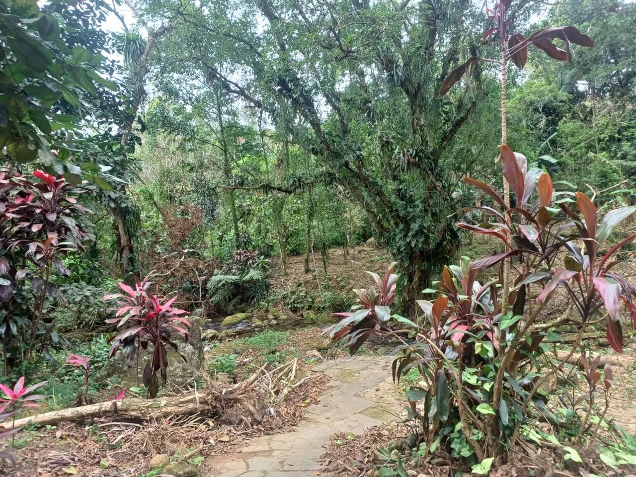 Foto - São Vicente - Área Rural de São Vicente