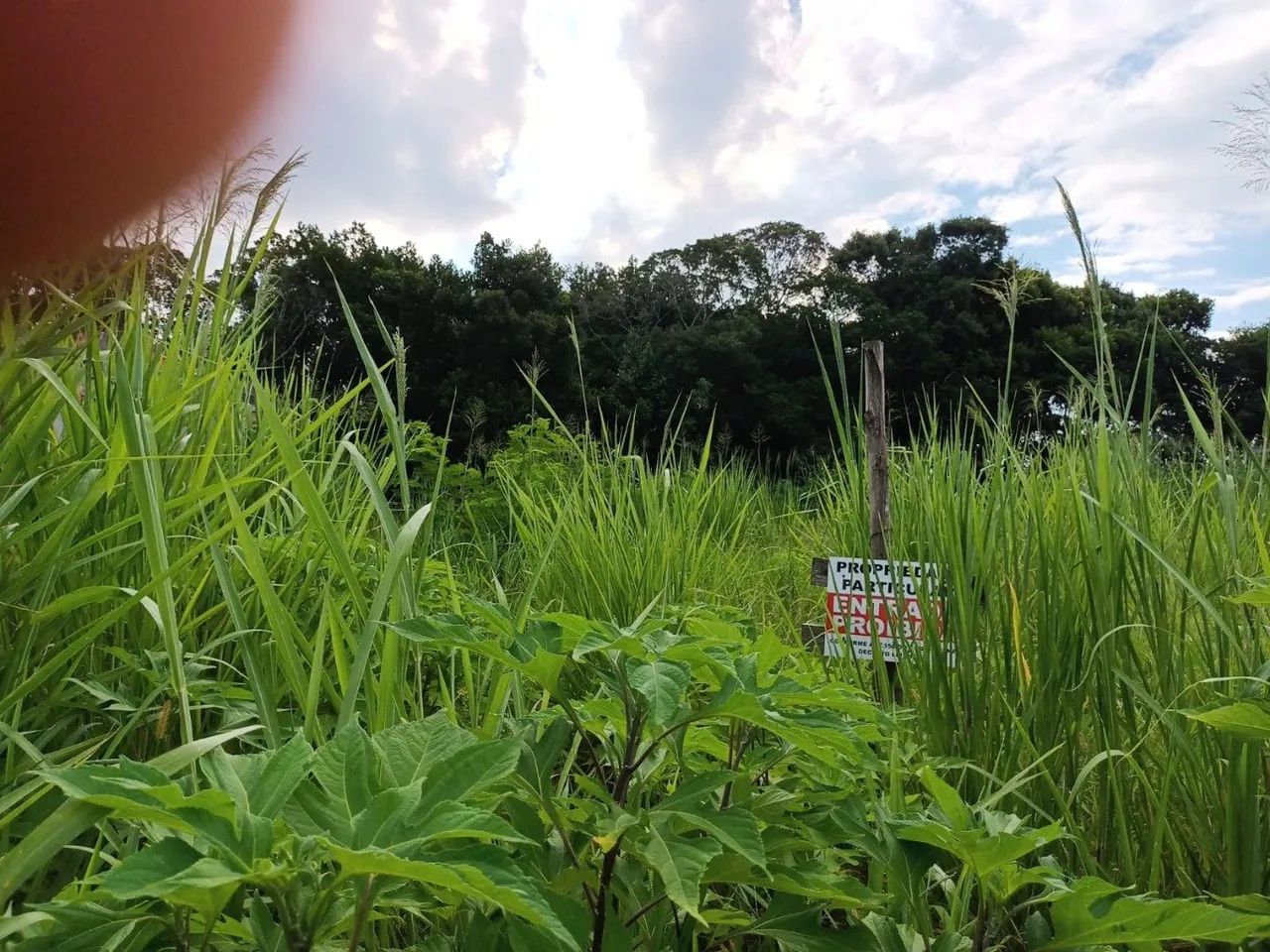 Terreno escriturado na servidão das águias com 1.180m² - Foto 2