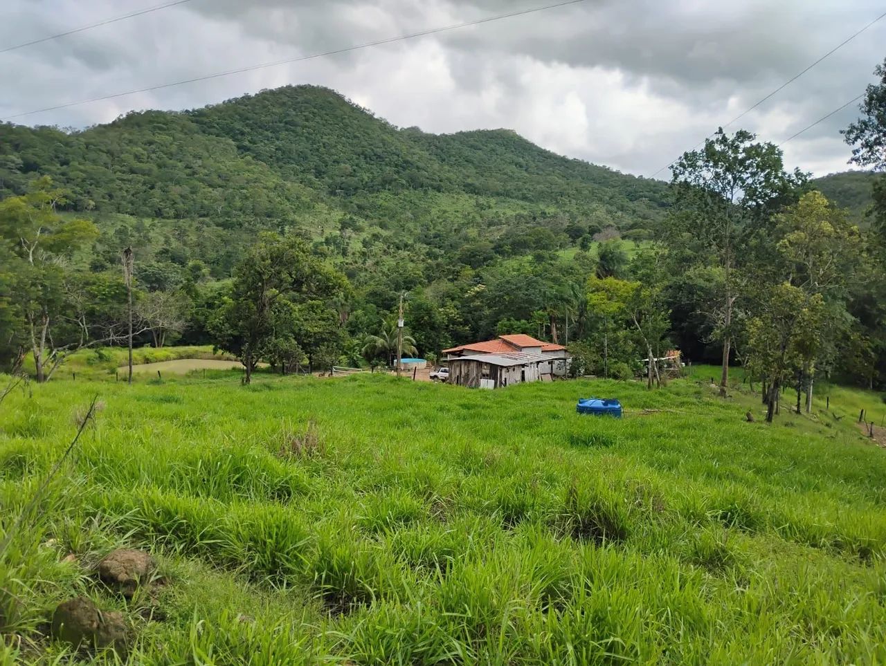 Vendo fazenda 16 Alqueires  - Foto 3
