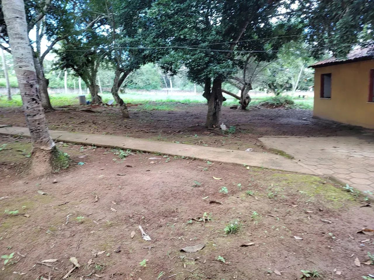 Conceição de Feira chácara com 14.800m² próximo BRs 101 e 324. - Foto 5