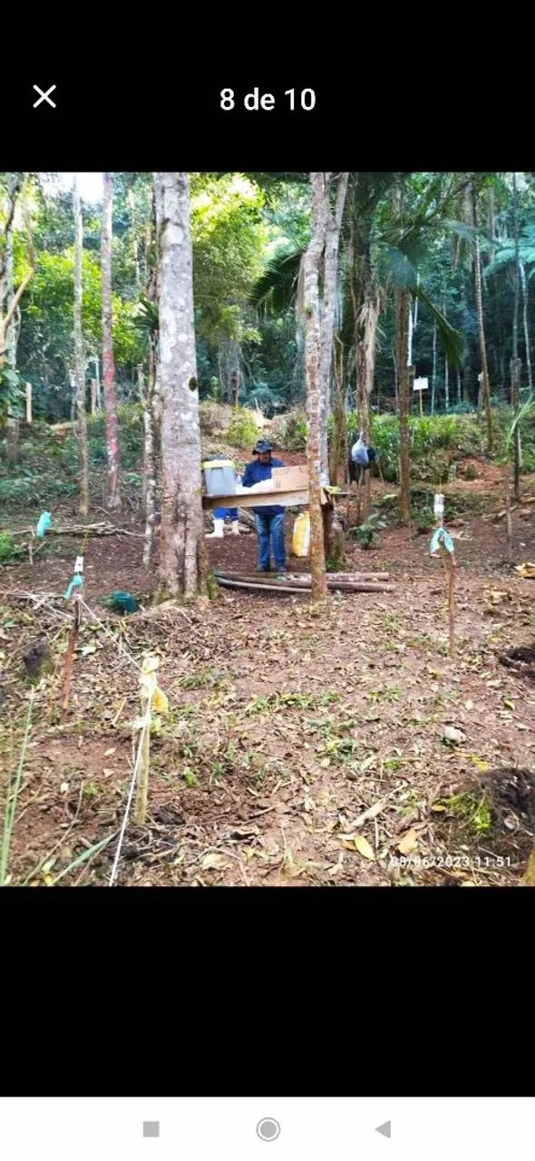 Foto - Osasco - Baronesa