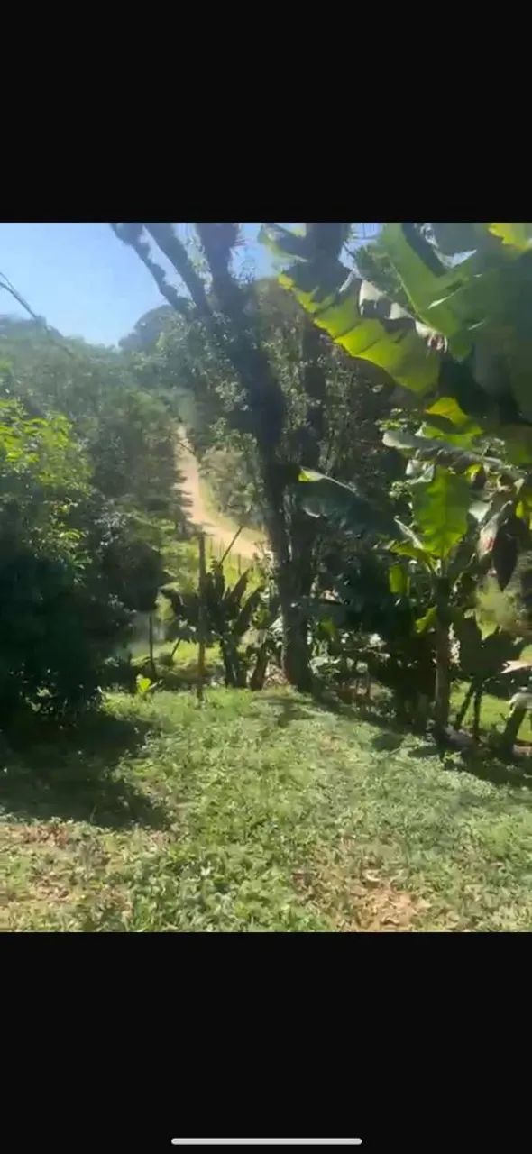 TERRENO EM JUQUITIBA  - Foto 2
