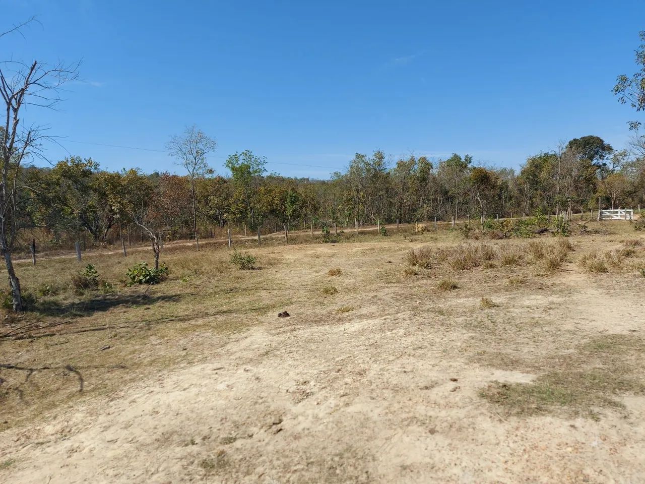 Vendo excelente  chácara no coxipó do ouro  - Foto 2
