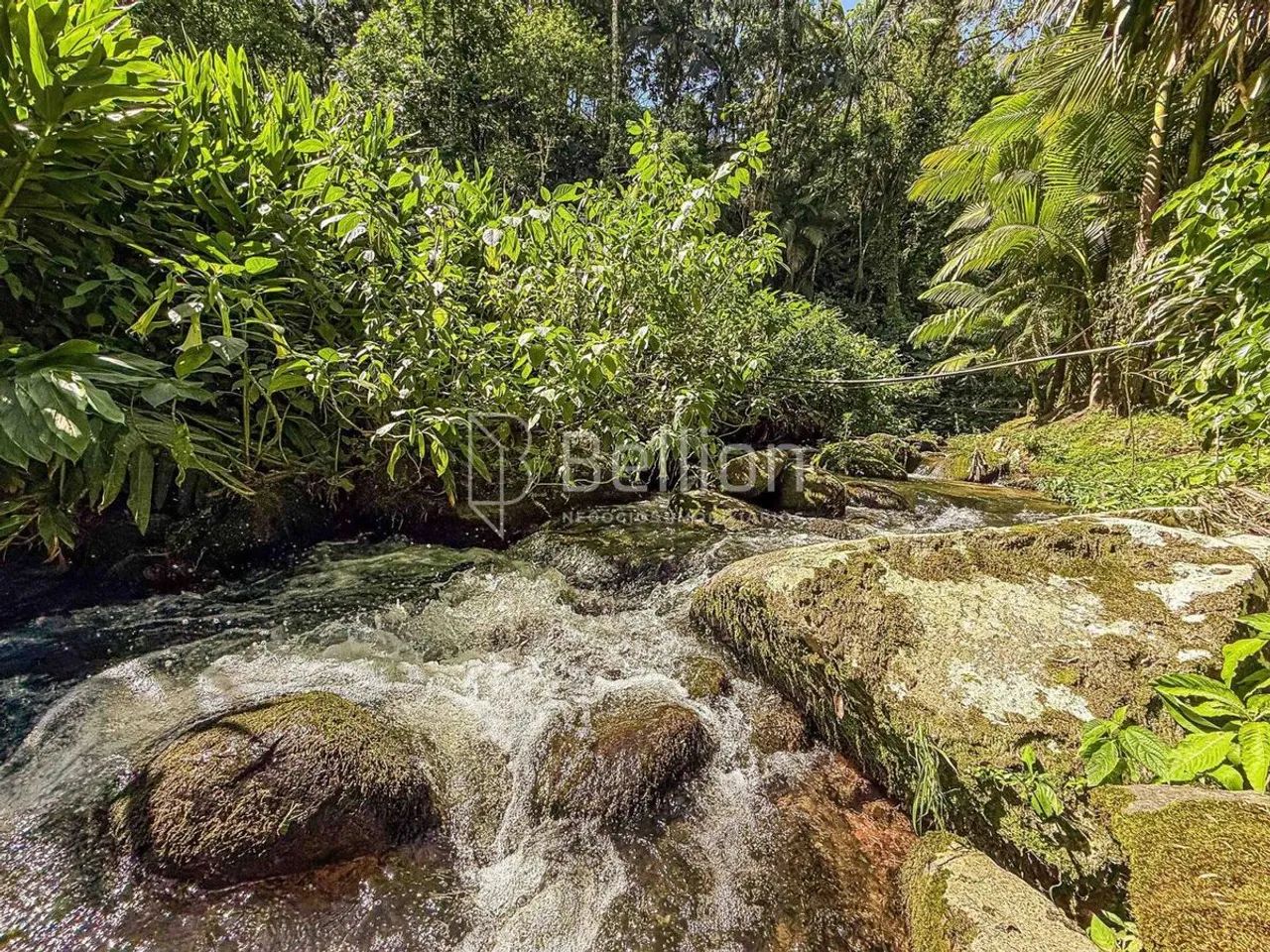 Sítio com lago e riacho em Rio dos Cedros - Foto 5