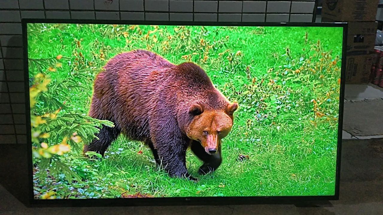 Tv Smart LG 60 Polegadas 4k Ultra HD Top de Verdade 