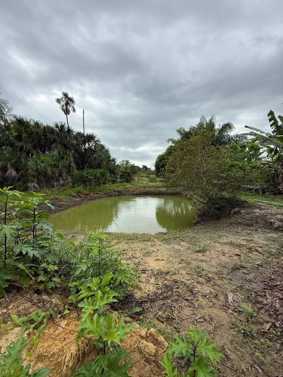 CHÁCARA NO SANTA RITA VENDO OU TROCO ZAP * - Foto 2