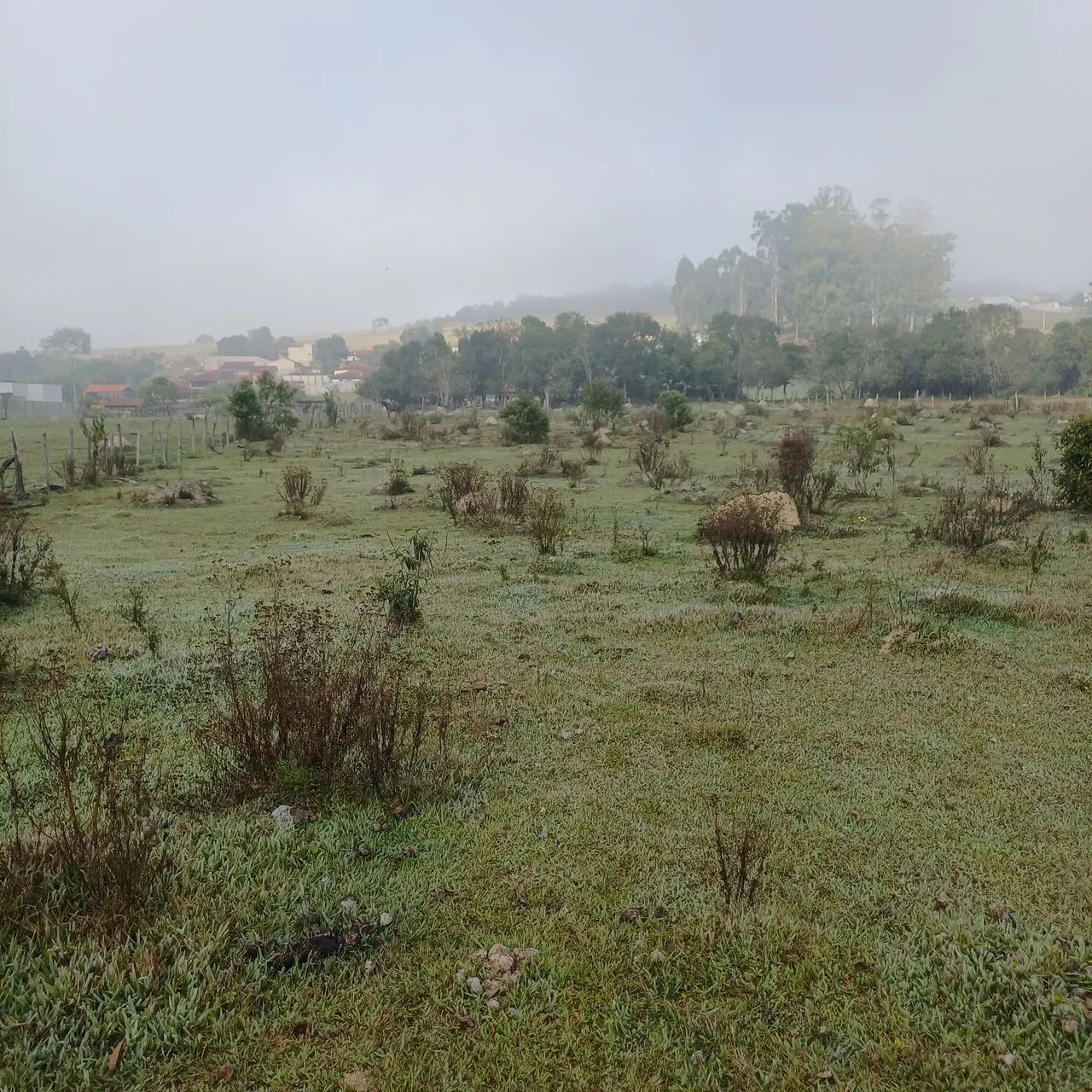 Terreno 6000m² 
